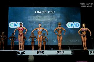 FIGURE +163